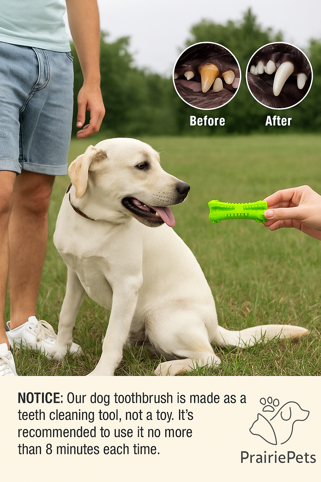 PrairiePets Dog Toothbrush Chew Stick – Dental Cleaning Toy for Puppies & Small Dogs