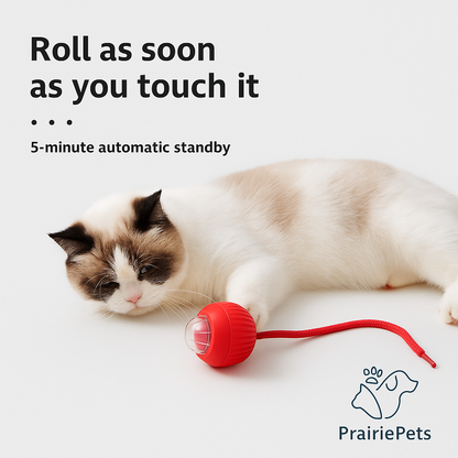 PrairiePets Smart Rolling Ball – Interactive Rechargeable Toy for Cats & Small Dogs