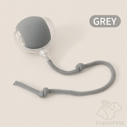 PrairiePets Smart Rolling Ball – Interactive Rechargeable Toy for Cats & Small Dogs