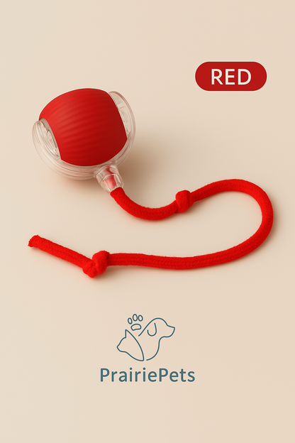 PrairiePets Smart Rolling Ball – Interactive Rechargeable Toy for Cats & Small Dogs