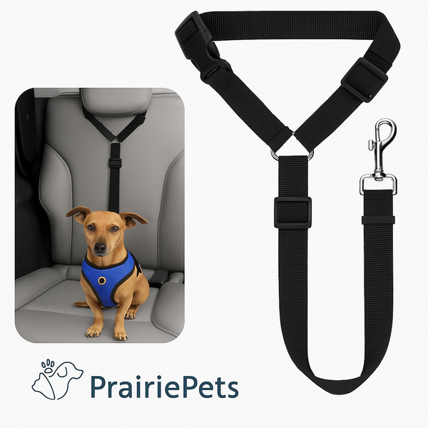 PrairiePets 2-in-1 Car Seat Belt & Leash – Adjustable Nylon Safety Restraint for Dogs