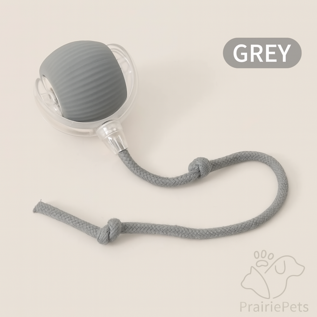 PrairiePets Smart Rolling Ball – Interactive Rechargeable Toy for Cats & Small Dogs