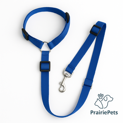 PrairiePets 2-in-1 Car Seat Belt & Leash – Adjustable Nylon Safety Restraint for Dogs