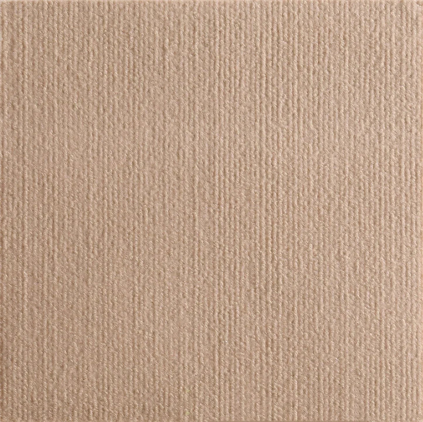 PrairiePets Cat Scratcher Mat – Self-Adhesive Sofa & Wall Protector