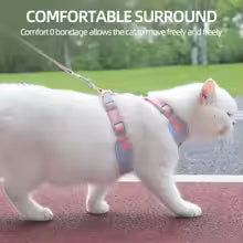PrairiePets™ Adjustable Cat & Small Dog Harness with Leash